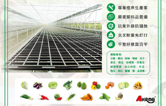植床板架設於溫室栽培床架情境圖