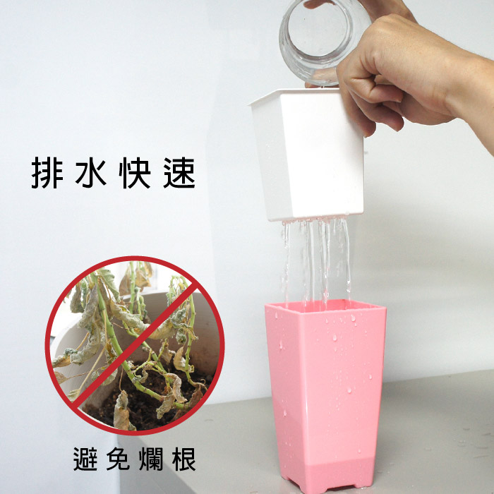 L186-Blog-CD-04