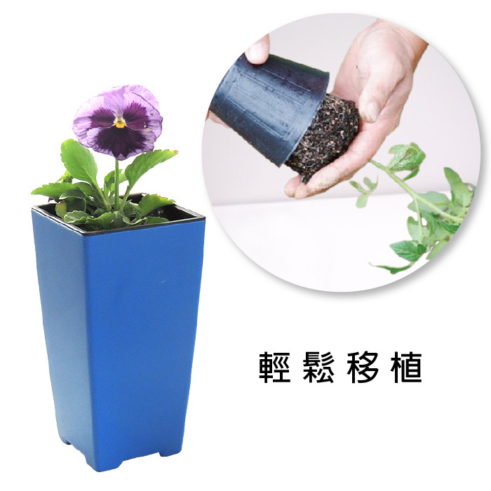 L186-Blog-CD-07