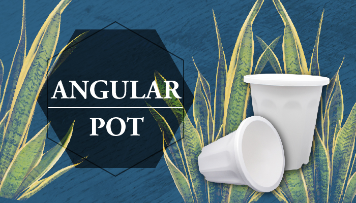 【Aiermei Angular Pot】L-005 Angular Pot - European Style Pots Series ...