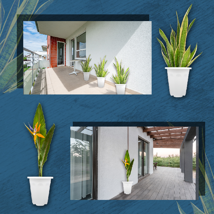 【Aiermei Angular Pot】L-005 Angular Pot - European Style Pots Series ...