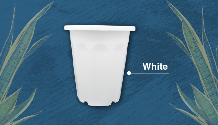 【Aiermei Angular Pot】L-005 Angular Pot - European Style Pots Series ...