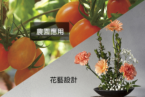 12P-F2.8-60L 塑膜鐵線-軟線