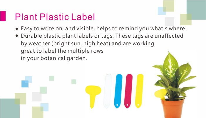 plant plastic label orchid markers Plant Label garden ornament Nursery Tags	Waterproof Plastic Plant Labels Seed Packet Holders  Seed Tray Labels aiermei Flower Seed Hanging Name Tag Label