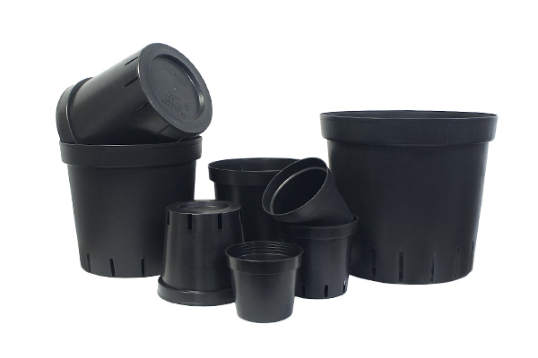 F-030 Thick Wall Propagation Pot