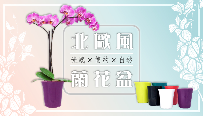 具備良好排水功能的彩色園藝盆栽,底部附塑膠軟塞設計方便彈性調整蓄水。