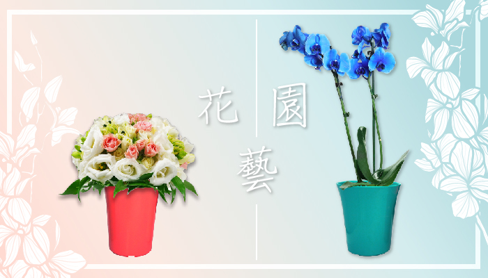 提供從專業塑膠模具,設計到一條龍塑膠射出代工的客製化花盆服務。