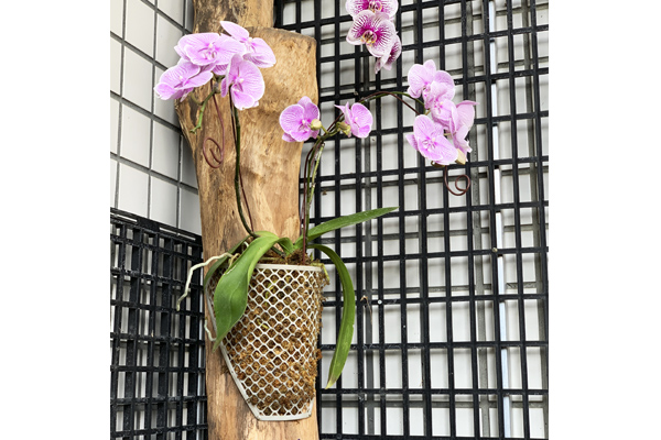 L-178A 植栽附生網
