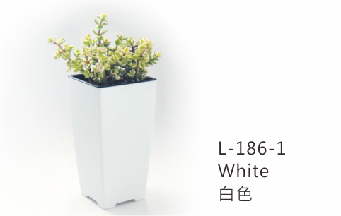 【艾爾鎂-簡約造型】L-186 極簡忘憂盆