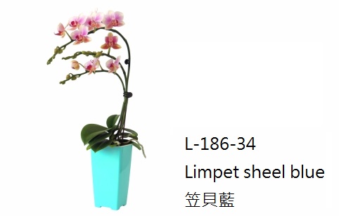 【艾爾鎂-簡約造型】L-186 極簡忘憂盆