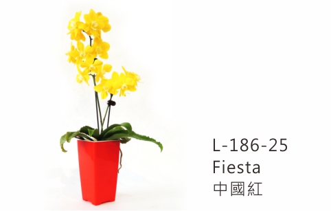 【艾爾鎂-簡約造型】L-186 極簡忘憂盆