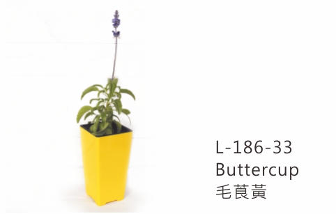 【艾爾鎂-簡約造型】L-186 極簡忘憂盆