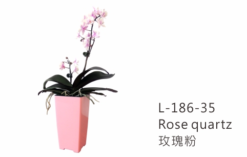 【艾爾鎂-簡約造型】L-186 極簡忘憂盆