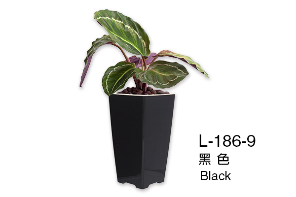 【艾爾鎂-簡約造型】L-186 極簡忘憂盆