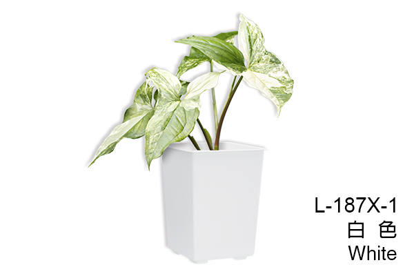 L-186X 四方高盆