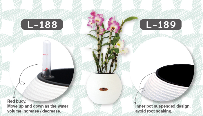 Multi-purpose self watering planter suitable for orchid cultivation, floral arrangements, and interior decoration.