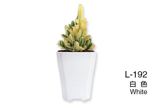 L-192 Succulent Plant Pot