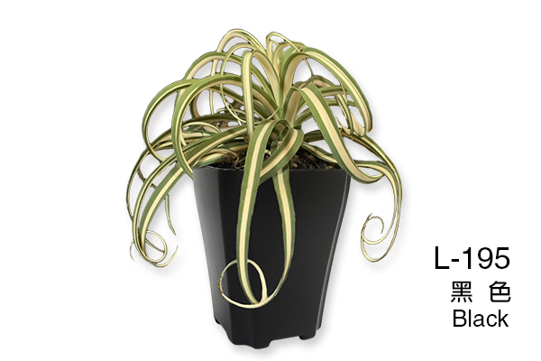 L-192 Succulent Plant Pot