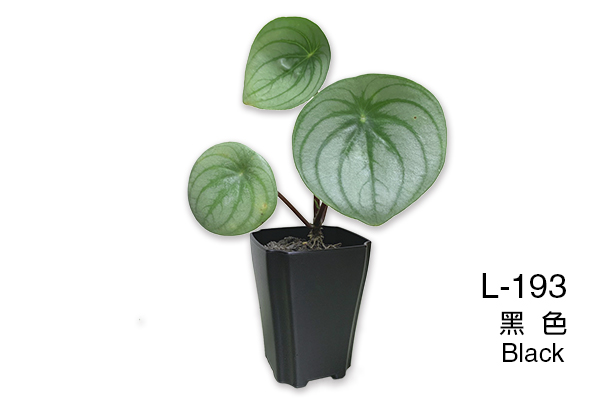 L-192 Succulent Plant Pot