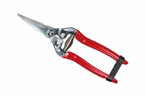 DA-163017 Aienmei Gardening Shears