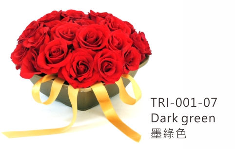 TRI-001 Aiermei Valentine Pot 心型花盆