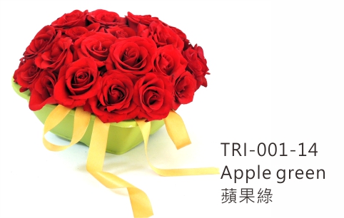 TRI-001 Aiermei Valentine Pot 心型花盆