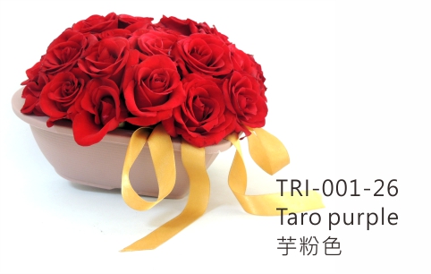 TRI-001 Aiermei Valentine Pot 心型花盆