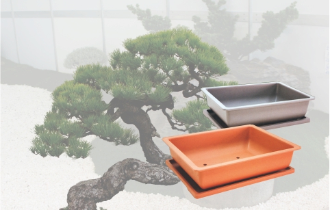 Bonsai Nursery Series