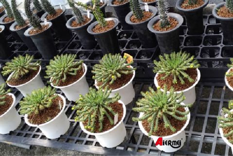 Plastic Nursery Bench - The Complete Buyer's Guide to Greenhouse Bench Tops and Wholesale Sourc