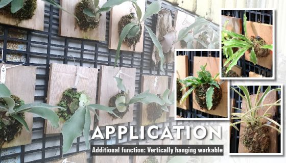 How to Choose the Right Grow Bed Bench! A Complete Comparison of Plastic vs. Metal