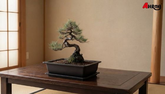 長方盆景盆器怎麼選？從盆型的美學到根系照護的方法——L-1310 盆栽方盆