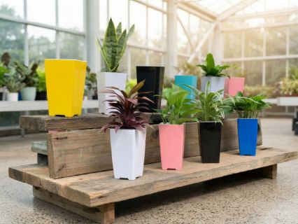 懶人澆水盆栽真的養得活植物嗎？L-186極簡忘憂盆讓植物自己「喝水」也能長得好