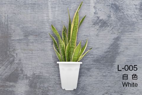 【艾爾鎂-造型角盆】L-005 角盆