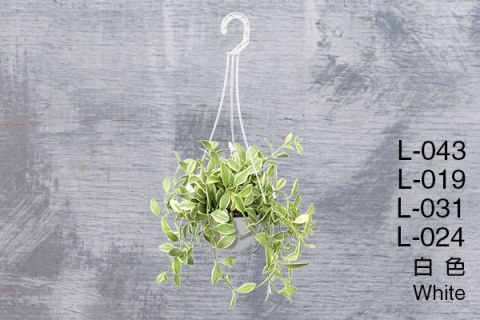 【Aiermei Hanging Pot】L-043 Simple White Hanging Pot