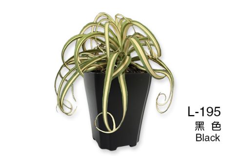 【Aiermei-Cactus Series】L-190 Succulent Plant Pot